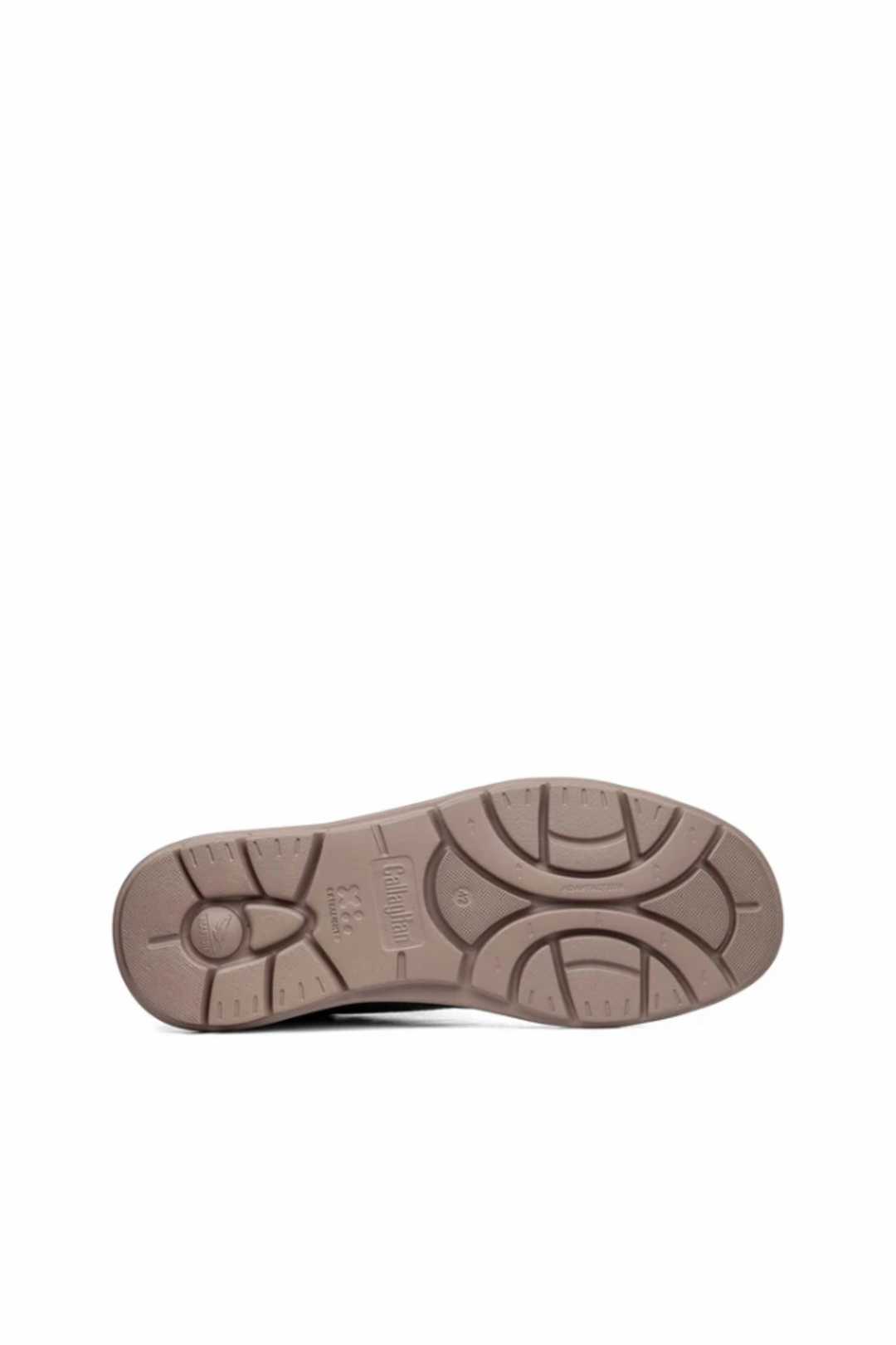 CALLAGHAN POLACCHINI 60608