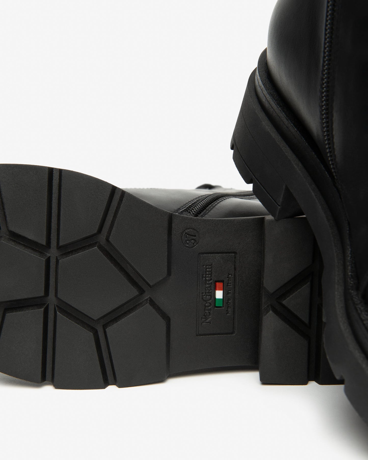 NEROGIARDINI ANFIBI I514783D