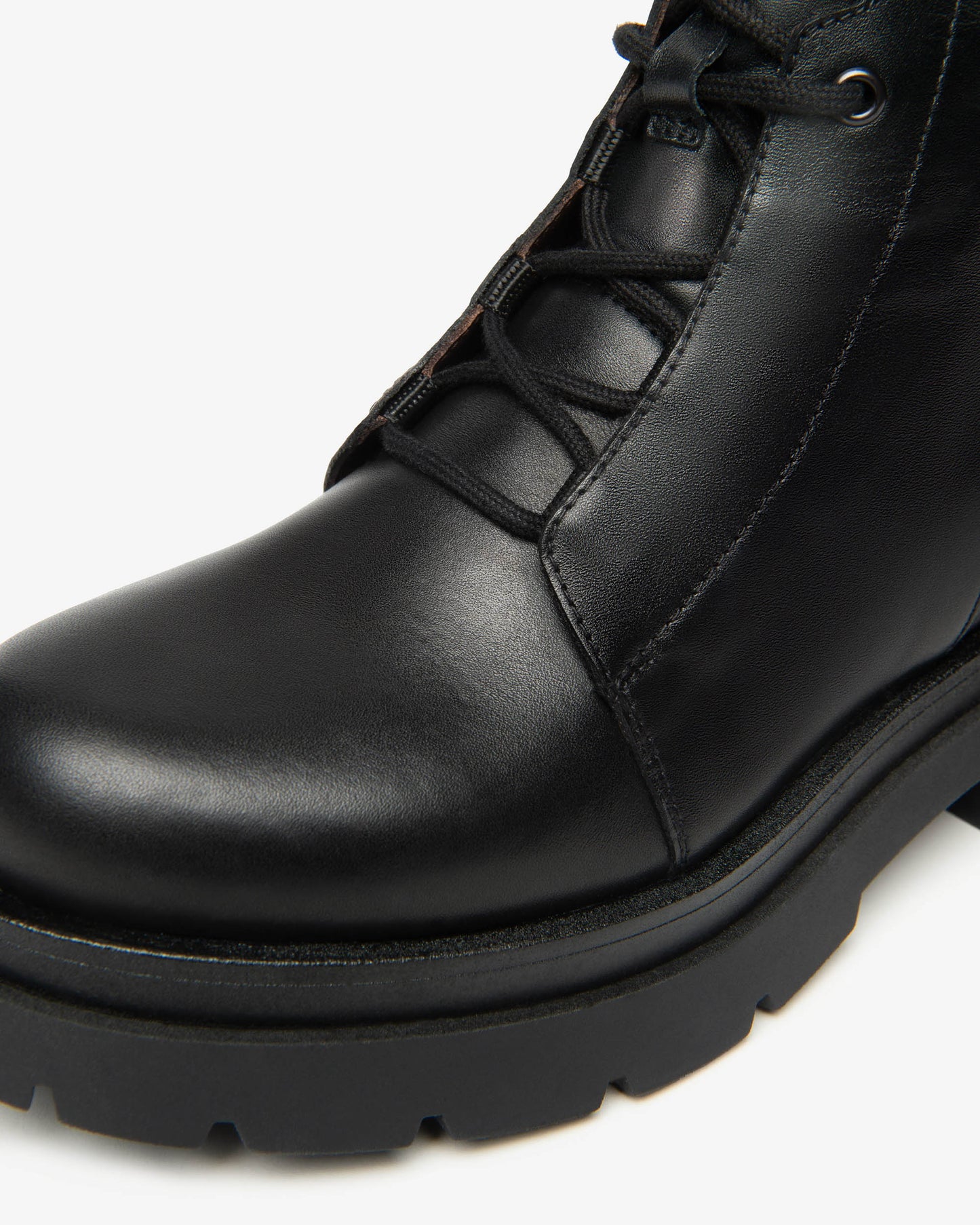 NEROGIARDINI ANFIBI I514783D